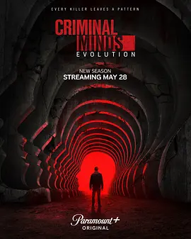 犯罪心理：演变第十九季 Criminal Minds： Evolution Season 19