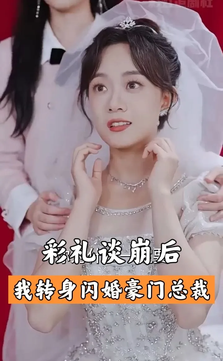 彩礼谈崩后，我闪婚了豪门老公
