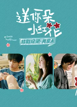 送你一朵小红花 特别纪录第二集